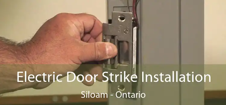 Electric Door Strike Installation Siloam - Ontario