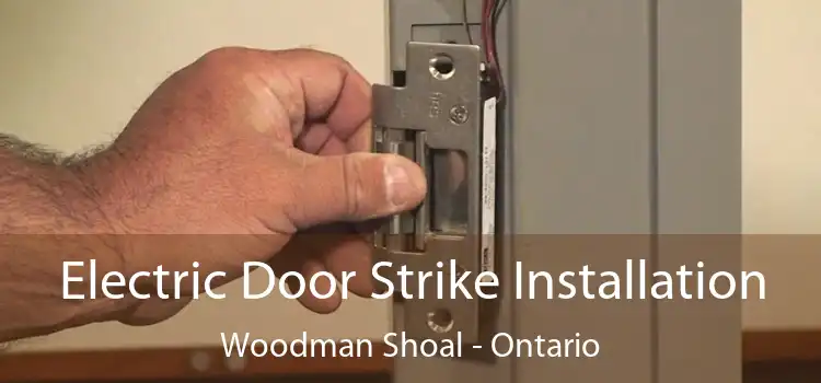 Electric Door Strike Installation Woodman Shoal - Ontario