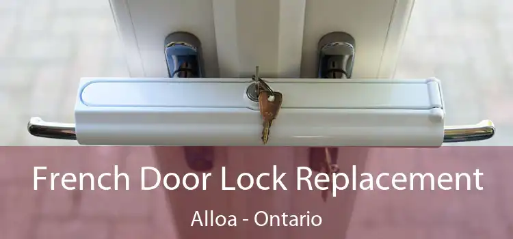 French Door Lock Replacement Alloa - Ontario