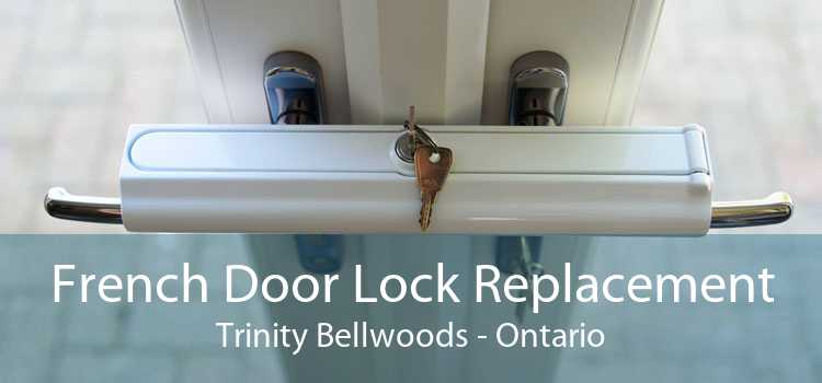 French Door Lock Replacement Trinity Bellwoods - Ontario