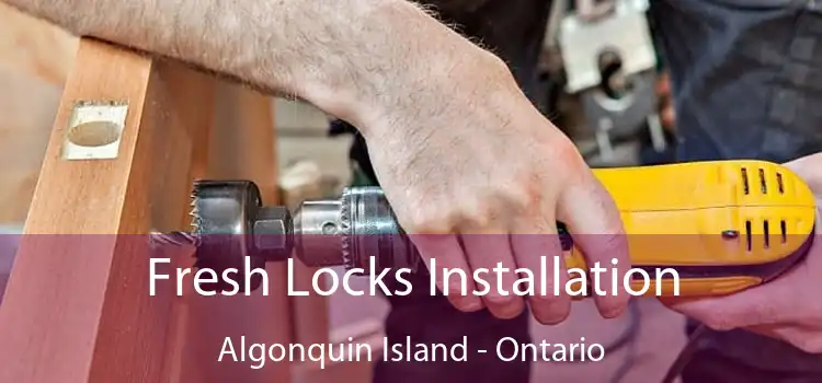 Fresh Locks Installation Algonquin Island - Ontario