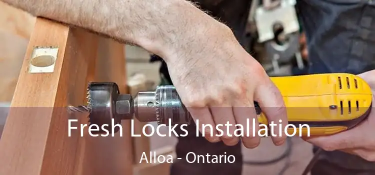 Fresh Locks Installation Alloa - Ontario