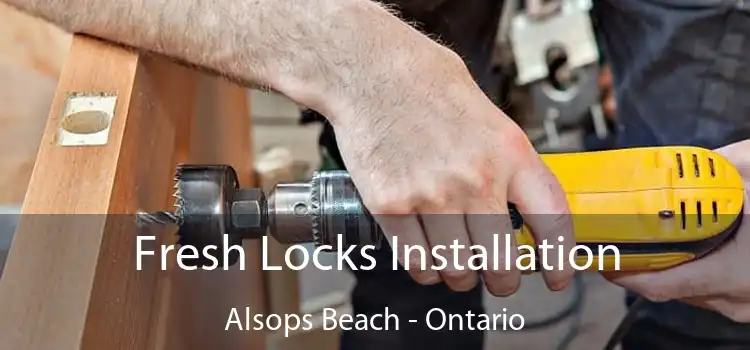 Fresh Locks Installation Alsops Beach - Ontario