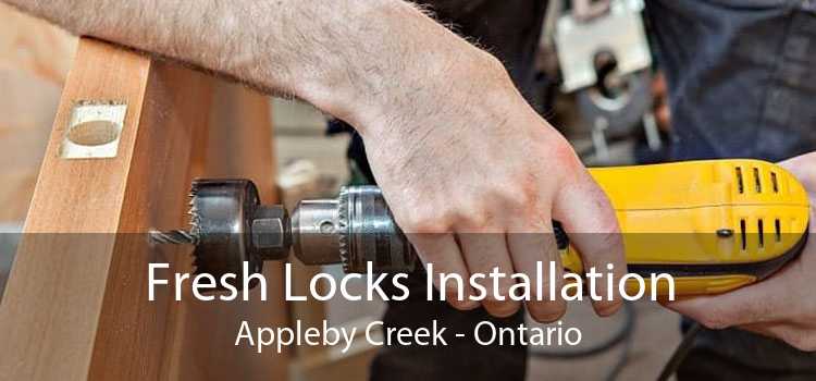 Fresh Locks Installation Appleby Creek - Ontario