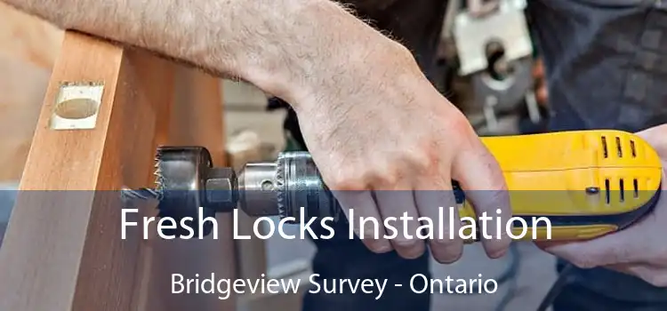 Fresh Locks Installation Bridgeview Survey - Ontario