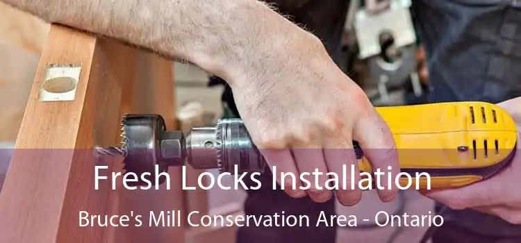 Fresh Locks Installation Bruce's Mill Conservation Area - Ontario