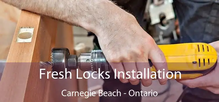 Fresh Locks Installation Carnegie Beach - Ontario