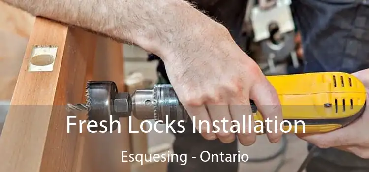 Fresh Locks Installation Esquesing - Ontario