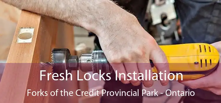 Fresh Locks Installation Forks of the Credit Provincial Park - Ontario