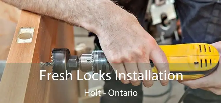 Fresh Locks Installation Holt - Ontario