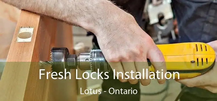 Fresh Locks Installation Lotus - Ontario