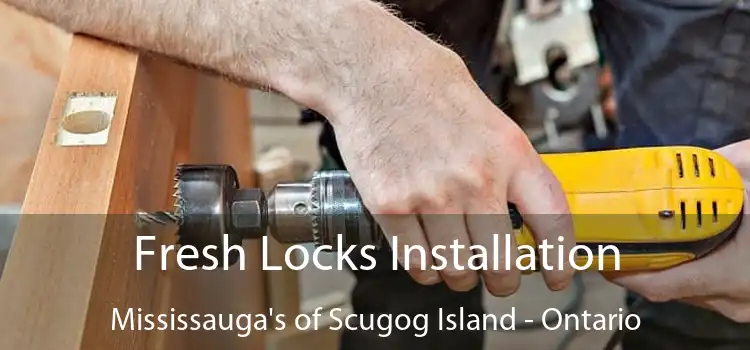 Fresh Locks Installation Mississauga's of Scugog Island - Ontario