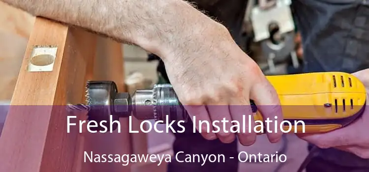 Fresh Locks Installation Nassagaweya Canyon - Ontario