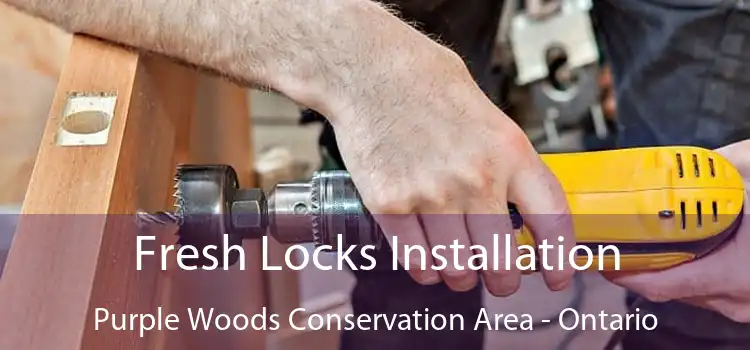 Fresh Locks Installation Purple Woods Conservation Area - Ontario