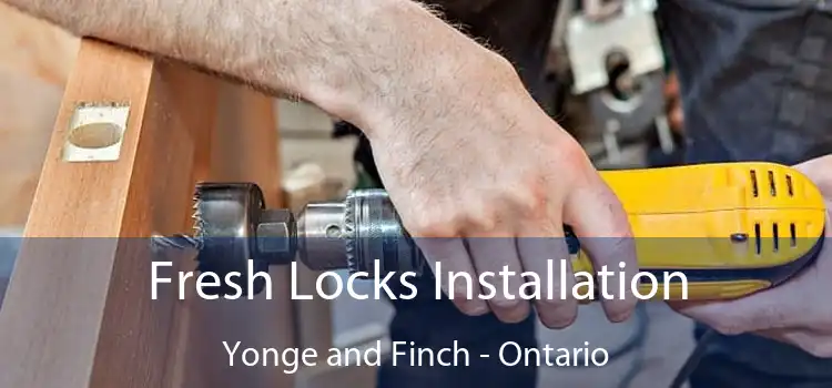 Fresh Locks Installation Yonge and Finch - Ontario
