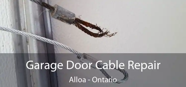 Garage Door Cable Repair Alloa - Ontario