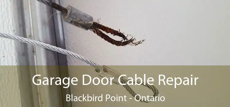 Garage Door Cable Repair Blackbird Point - Ontario
