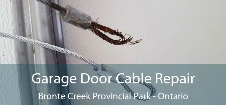 Garage Door Cable Repair Bronte Creek Provincial Park - Ontario