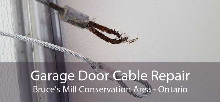 Garage Door Cable Repair Bruce's Mill Conservation Area - Ontario