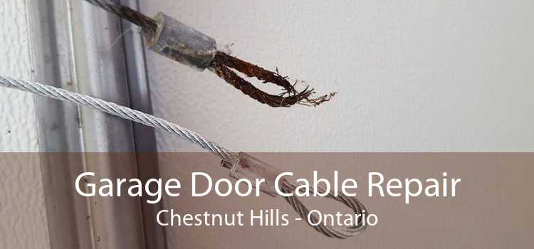 Garage Door Cable Repair Chestnut Hills - Ontario