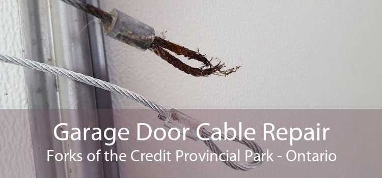 Garage Door Cable Repair Forks of the Credit Provincial Park - Ontario