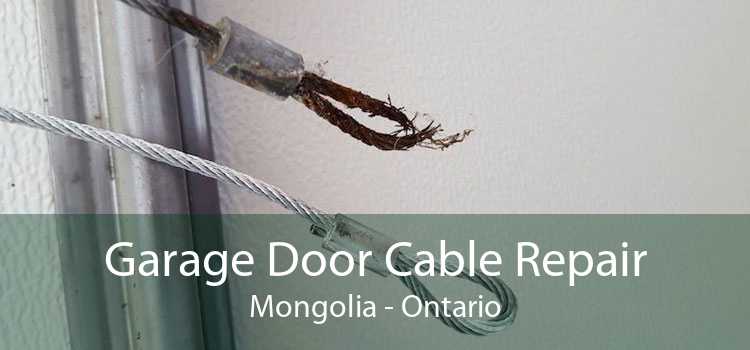 Garage Door Cable Repair Mongolia - Ontario