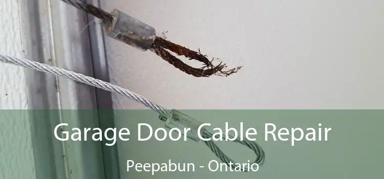 Garage Door Cable Repair Peepabun - Ontario