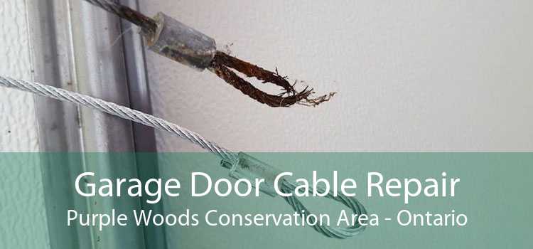 Garage Door Cable Repair Purple Woods Conservation Area - Ontario