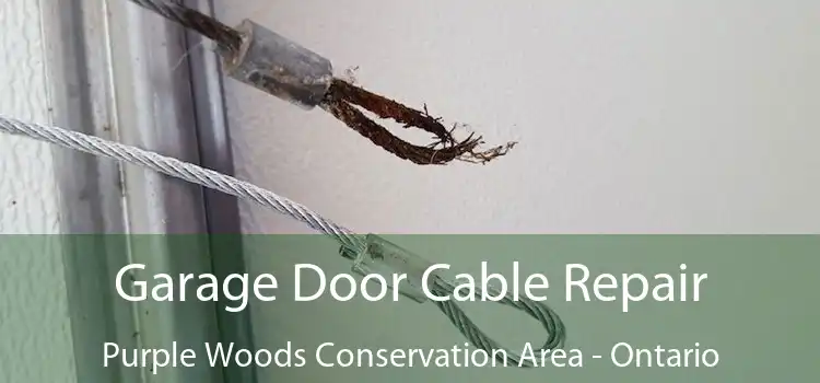 Garage Door Cable Repair Purple Woods Conservation Area - Ontario