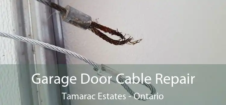 Garage Door Cable Repair Tamarac Estates - Ontario