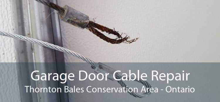 Garage Door Cable Repair Thornton Bales Conservation Area - Ontario