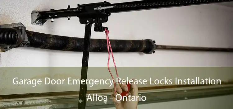 Garage Door Emergency Release Locks Installation Alloa - Ontario