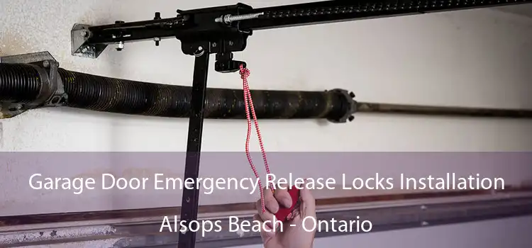 Garage Door Emergency Release Locks Installation Alsops Beach - Ontario
