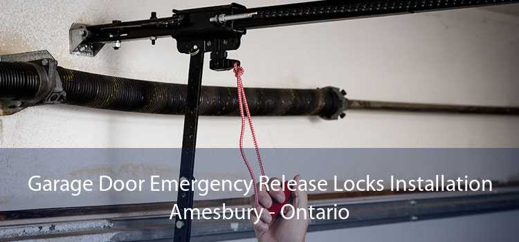 Garage Door Emergency Release Locks Installation Amesbury - Ontario