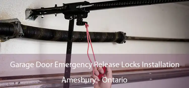 Garage Door Emergency Release Locks Installation Amesbury - Ontario