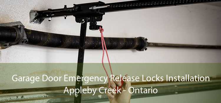 Garage Door Emergency Release Locks Installation Appleby Creek - Ontario