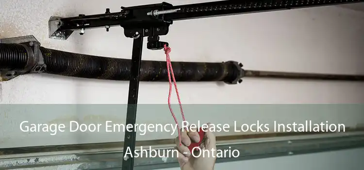 Garage Door Emergency Release Locks Installation Ashburn - Ontario