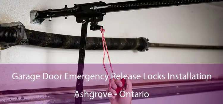 Garage Door Emergency Release Locks Installation Ashgrove - Ontario