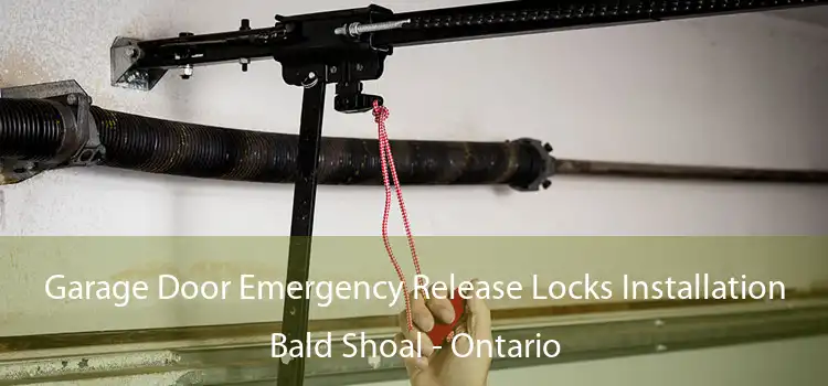 Garage Door Emergency Release Locks Installation Bald Shoal - Ontario