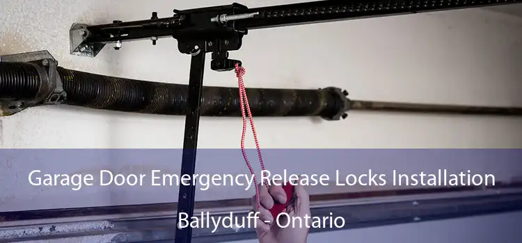 Garage Door Emergency Release Locks Installation Ballyduff - Ontario