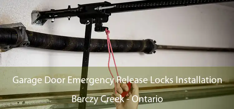 Garage Door Emergency Release Locks Installation Berczy Creek - Ontario