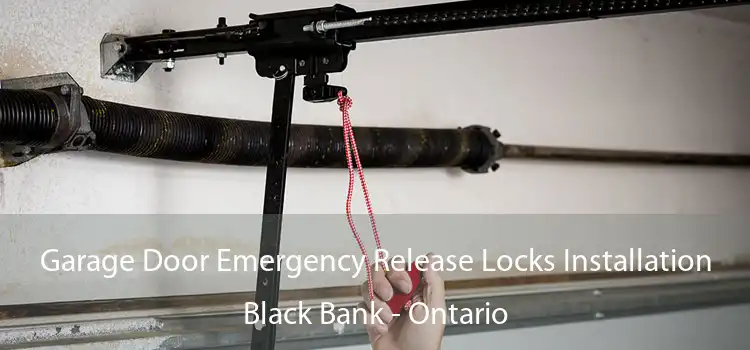 Garage Door Emergency Release Locks Installation Black Bank - Ontario