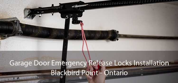 Garage Door Emergency Release Locks Installation Blackbird Point - Ontario