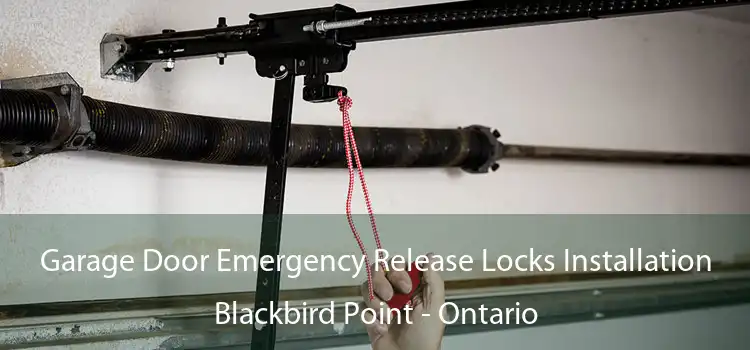 Garage Door Emergency Release Locks Installation Blackbird Point - Ontario