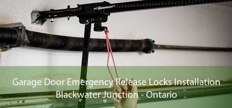 Garage Door Emergency Release Locks Installation Blackwater Junction - Ontario