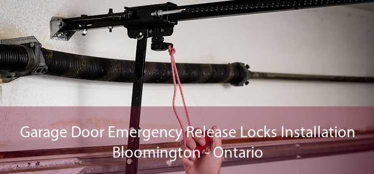 Garage Door Emergency Release Locks Installation Bloomington - Ontario