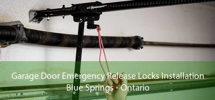 Garage Door Emergency Release Locks Installation Blue Springs - Ontario