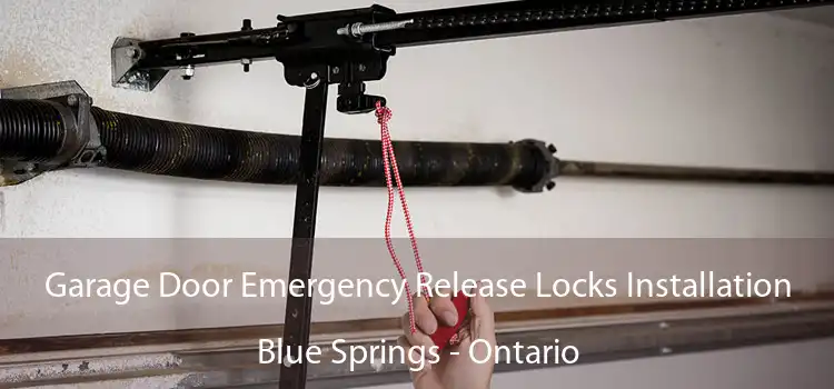 Garage Door Emergency Release Locks Installation Blue Springs - Ontario