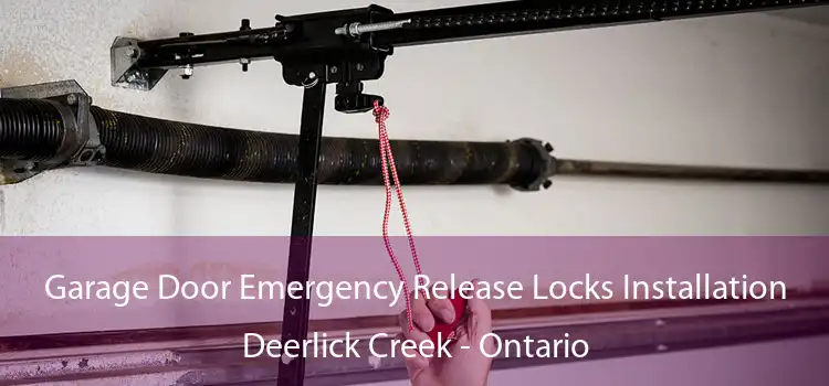 Garage Door Emergency Release Locks Installation Deerlick Creek - Ontario