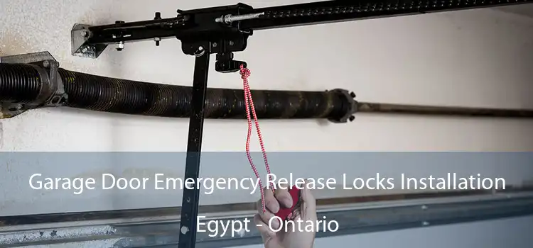 Garage Door Emergency Release Locks Installation Egypt - Ontario